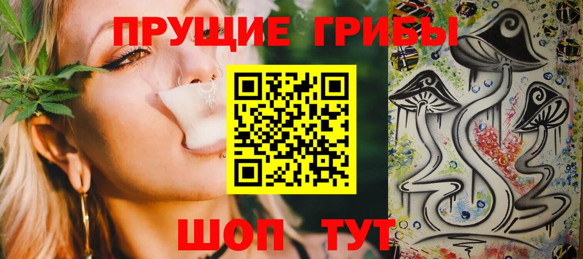 Галлюциногенные грибы GOLDEN TEACHER  Вход с VPN  Галлюциногенные грибы MAGIC MUSHROOMS  магазин продажи   Тамбов 