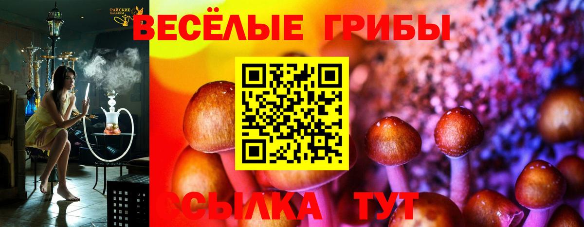 Галлюциногенные грибы Magic Shrooms Тамбов